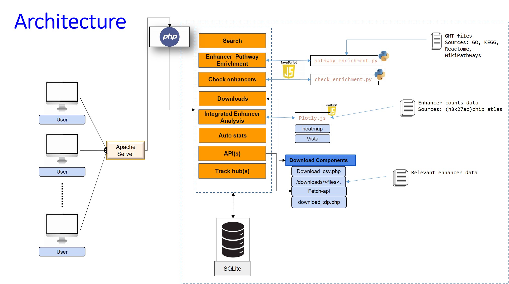 Database Workflow